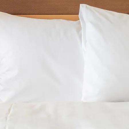 Hotell Ferrand Centre By Ihg 4*