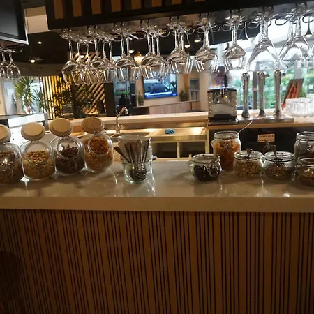 Ξενοδοχείο Western Ferrand Centre 4*