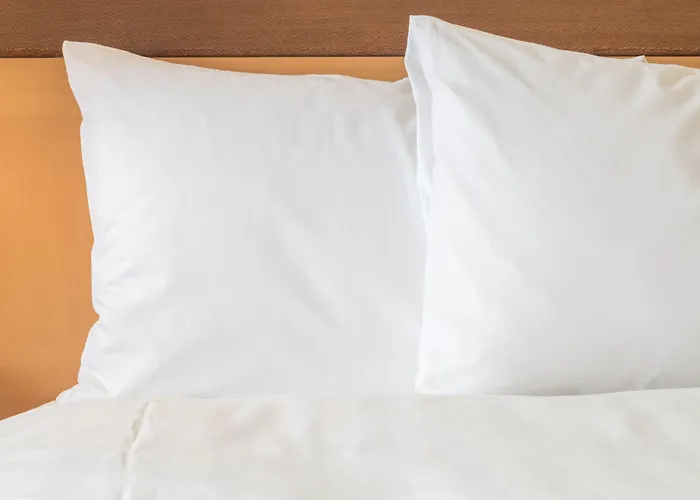 Ferrand Centre By Ihg Клермон-Ферран